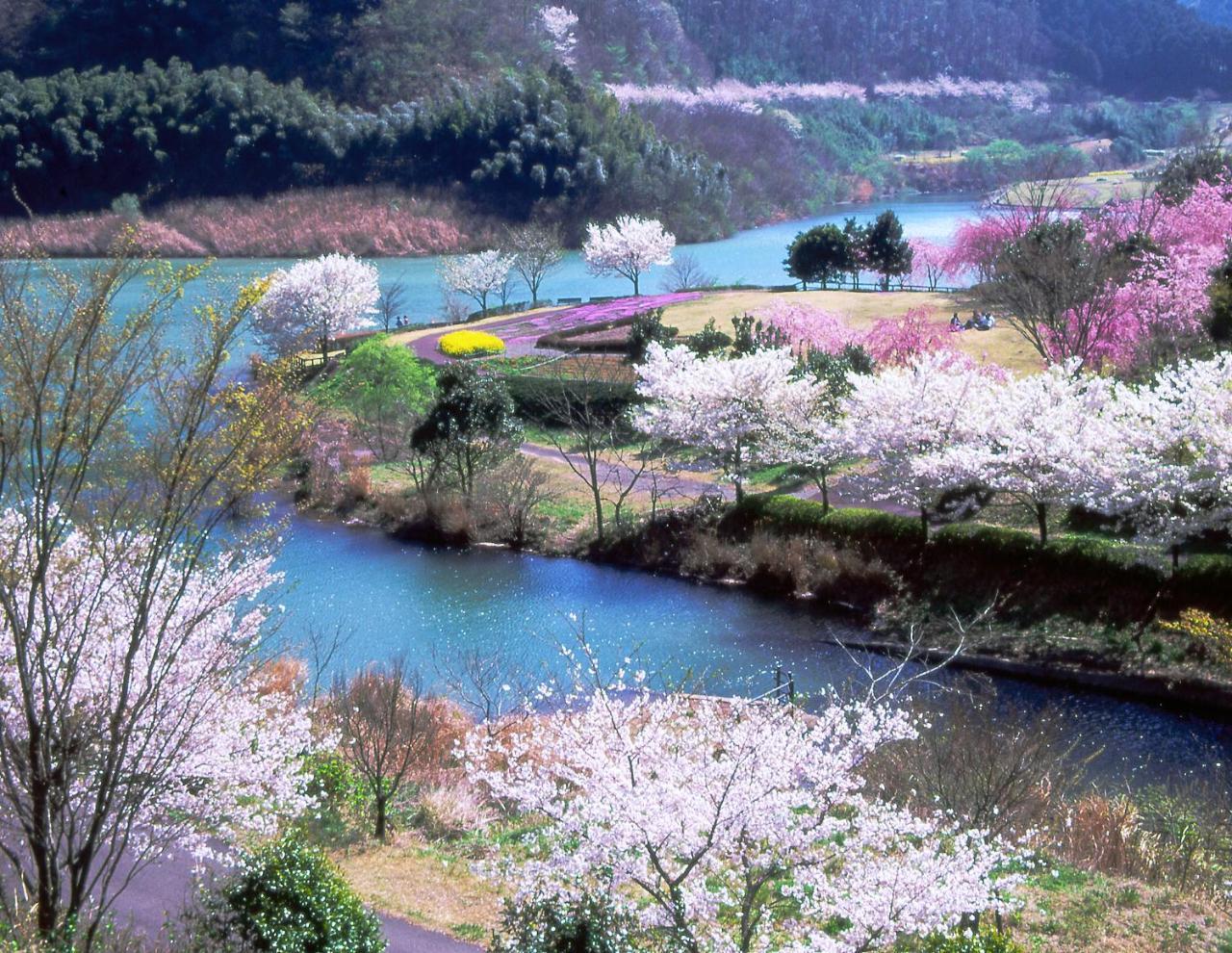 伊東市Famille Matsukawakoアパートメント エクステリア 写真